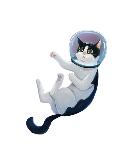 Gato astronauta